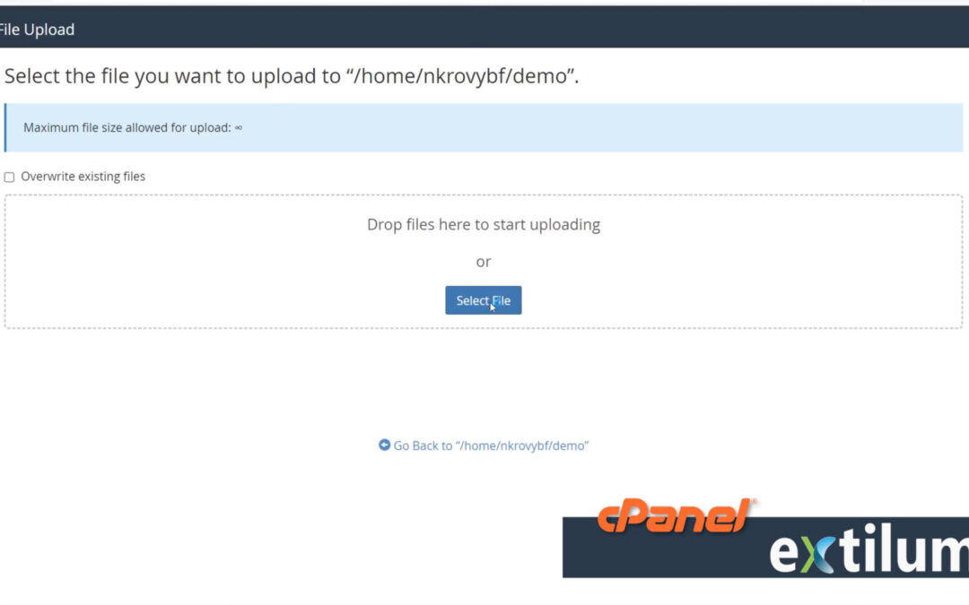 File Management in cPanel: Uploading, Downloading, and More